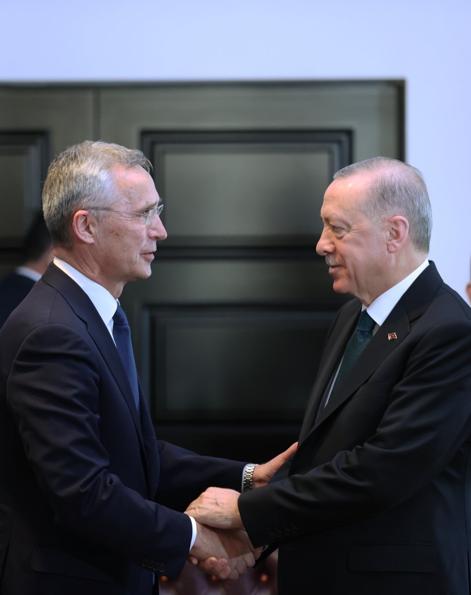 Cumhurbaşkanı Erdoğan, Stoltenberg ile görüştü #1