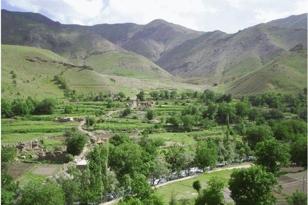 Hakkari de düğün ve taziye için yeni düzenleme #1