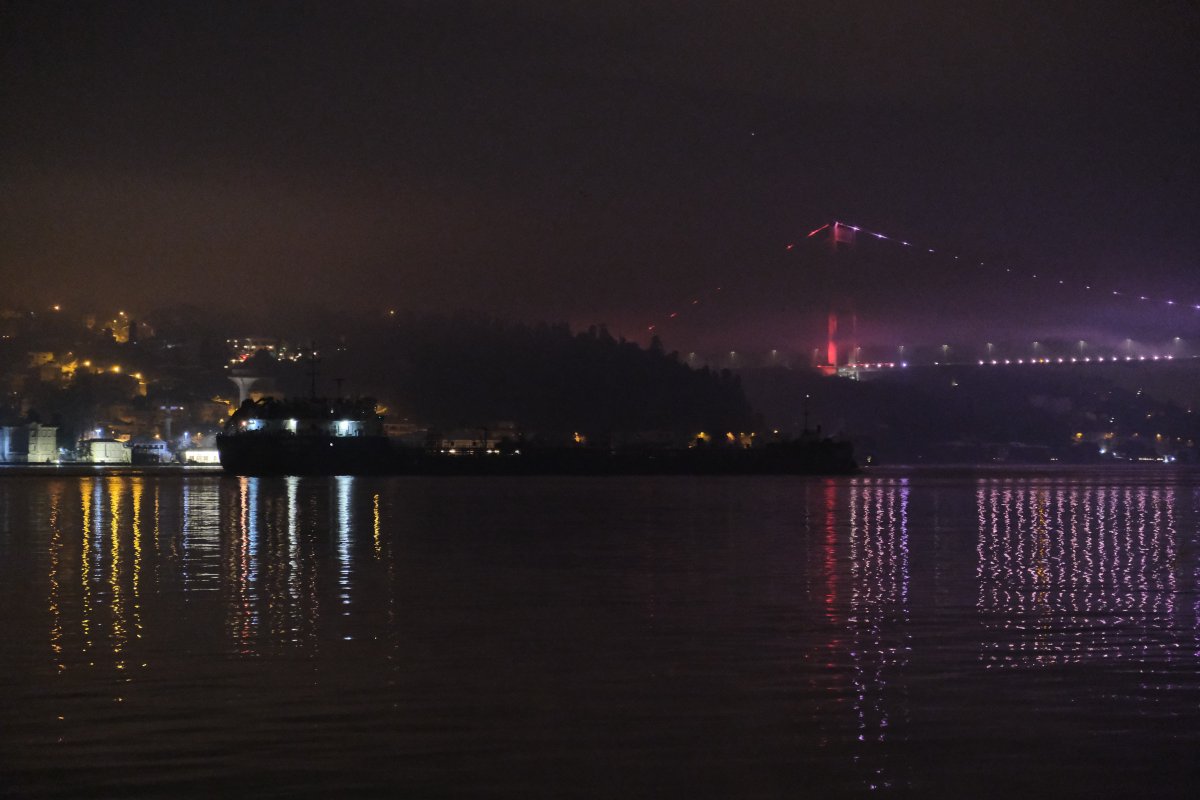 Rusya’dan üçüncü ayçiçeği yüklü gemi Boğaz a geldi #3