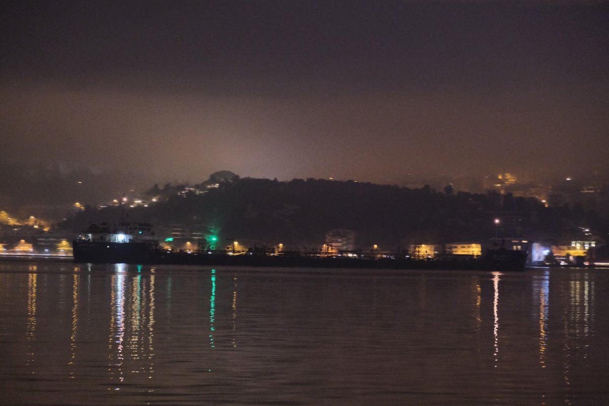 Rusya’dan üçüncü ayçiçeği yüklü gemi Boğaz a geldi #2