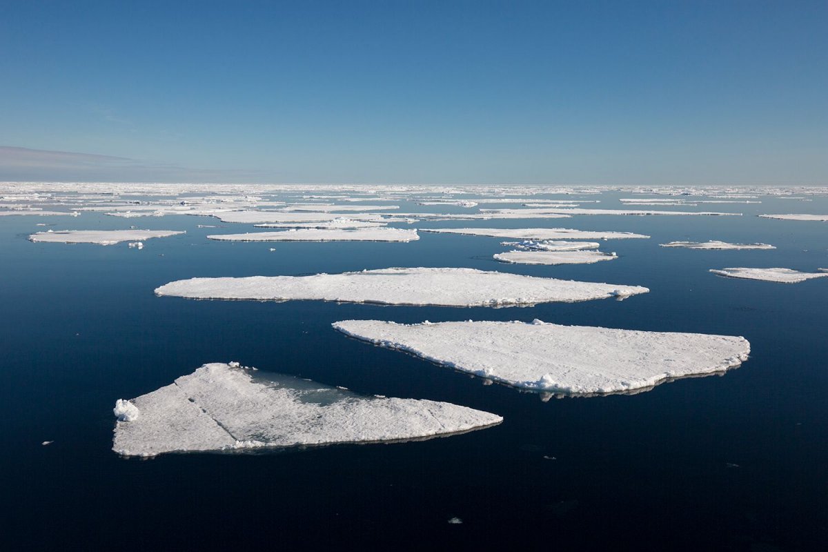 Arktik Okyanusu, 2035 e kadar tüm buzlarını kaybedecek #1