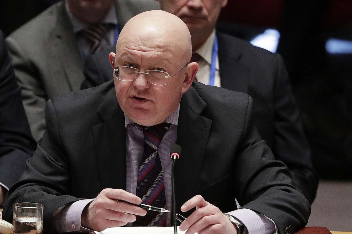Nebenzya: Special military operation will stop when it reaches its goals #2
