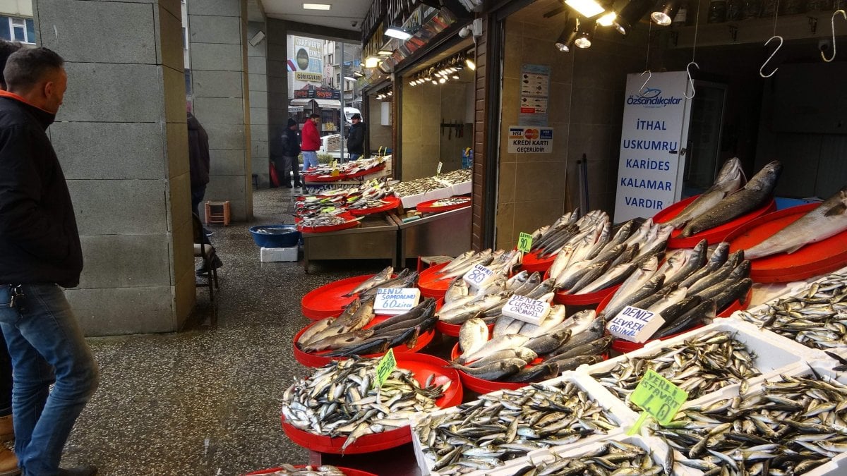 Karadeniz’de kar yağışı balık fiyatlarını yükseltti #7