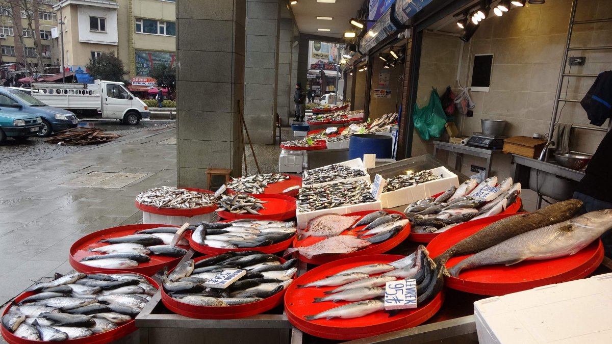 Karadeniz’de kar yağışı balık fiyatlarını yükseltti #5