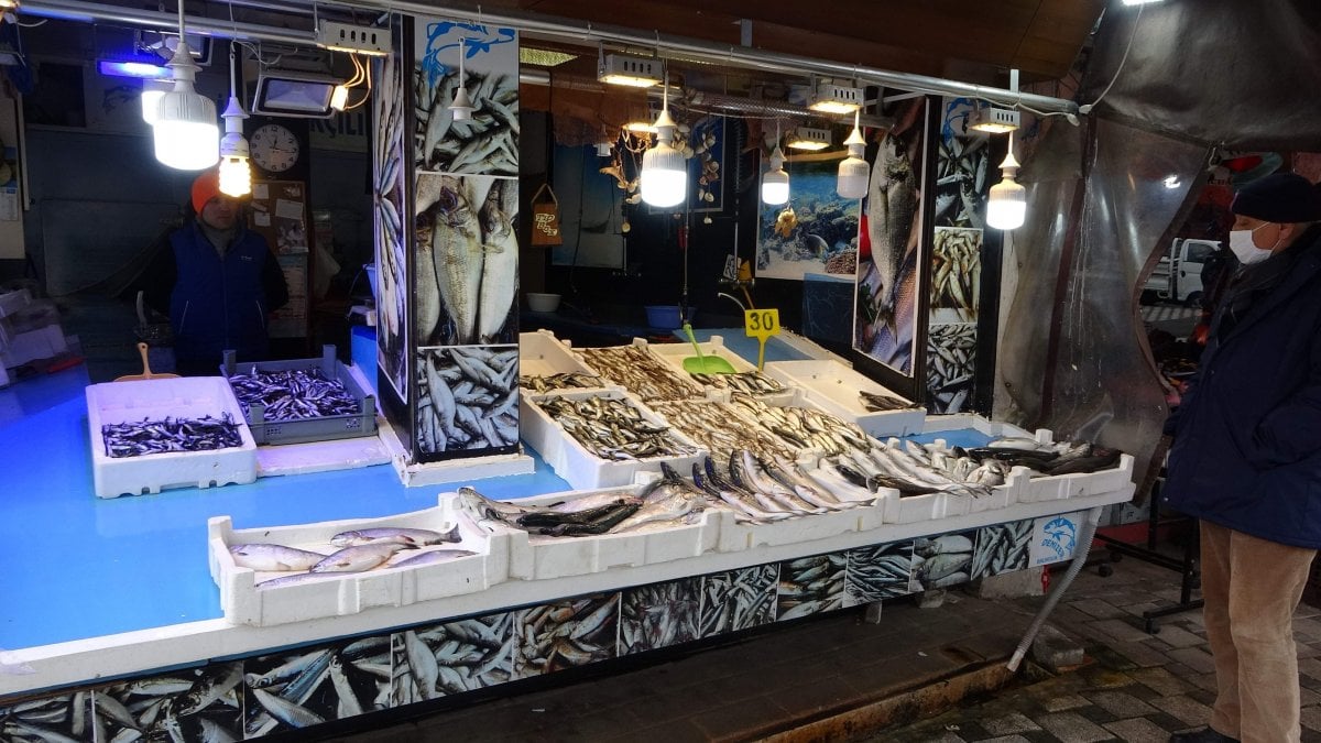 Karadeniz’de kar yağışı balık fiyatlarını yükseltti #3
