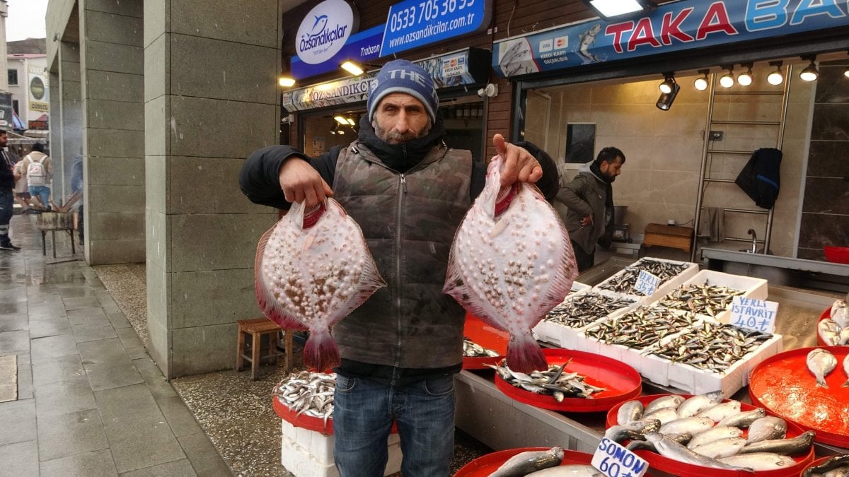 Karadeniz’de kar yağışı balık fiyatlarını yükseltti #8