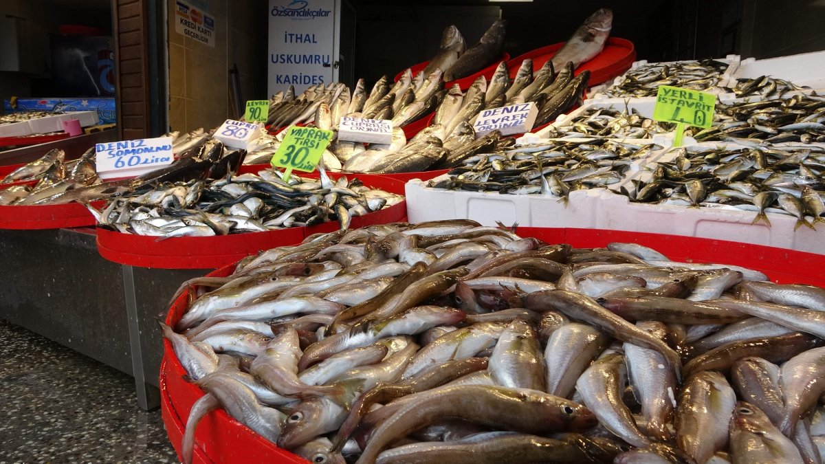 Karadeniz’de kar yağışı balık fiyatlarını yükseltti #6