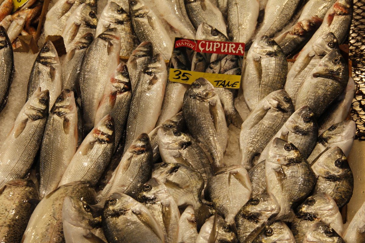 Marmara’da kar yağışı balık fiyatlarını da vurdu #8