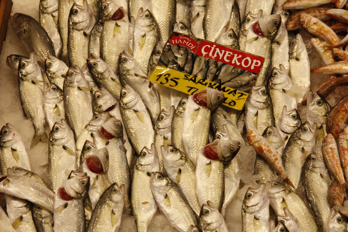 Marmara’da kar yağışı balık fiyatlarını da vurdu #7
