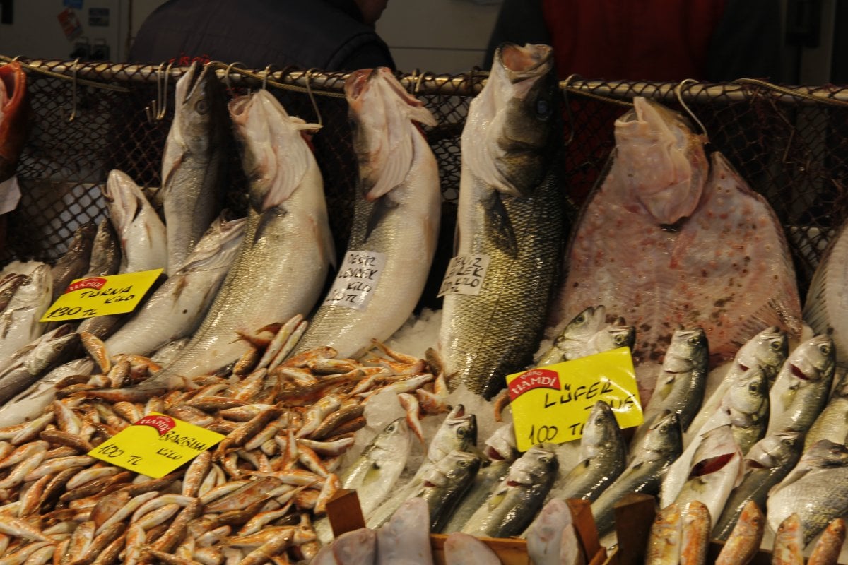 Marmara’da kar yağışı balık fiyatlarını da vurdu #9