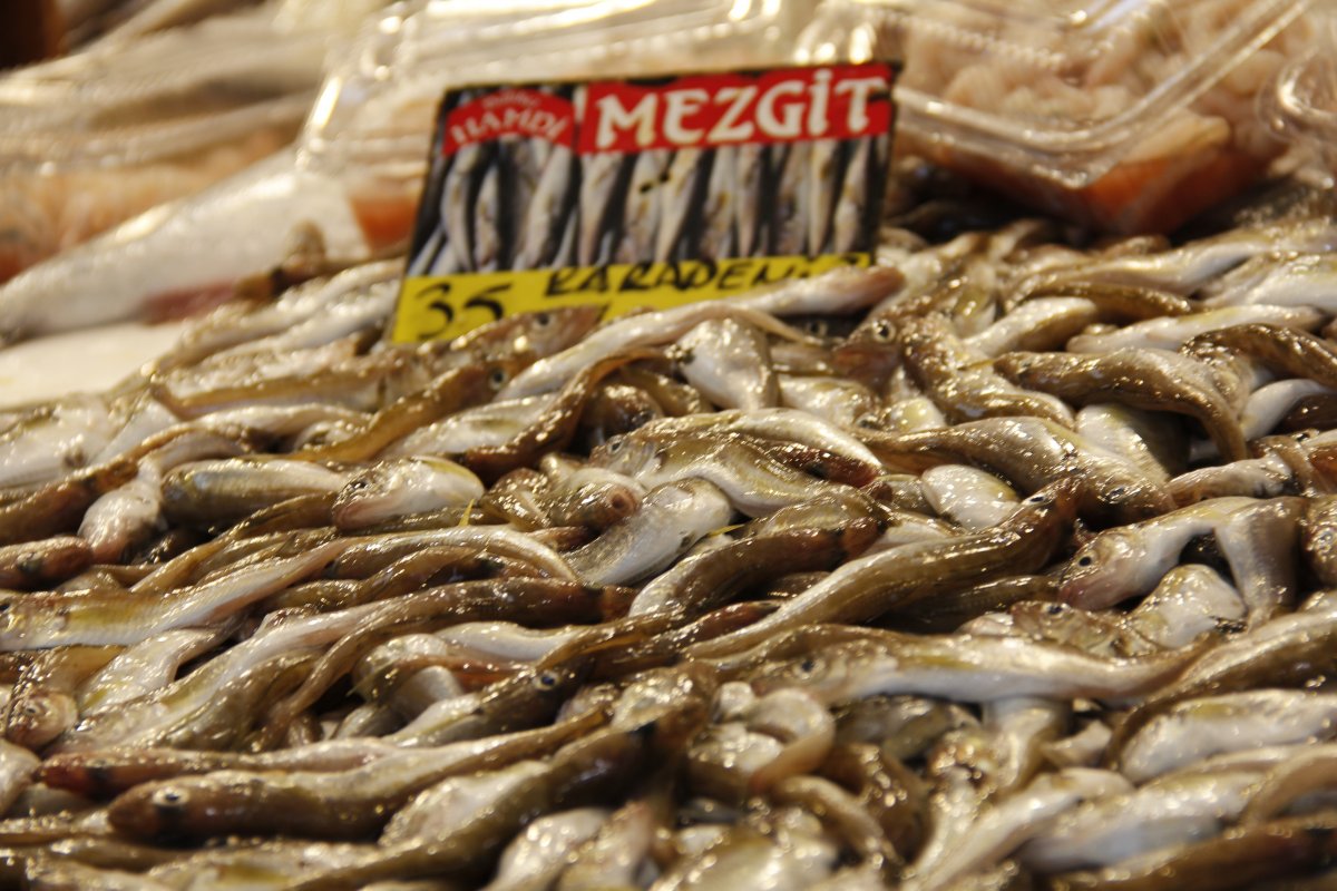 Marmara’da kar yağışı balık fiyatlarını da vurdu #3