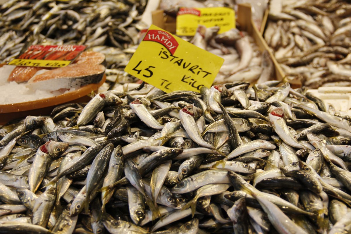 Marmara’da kar yağışı balık fiyatlarını da vurdu #1