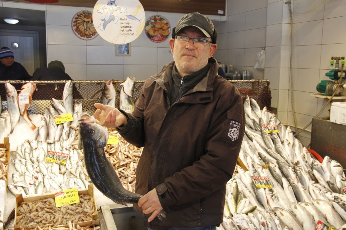 Marmara’da kar yağışı balık fiyatlarını da vurdu #2