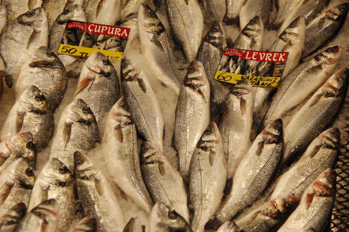 Marmara’da kar yağışı balık fiyatlarını da vurdu #4