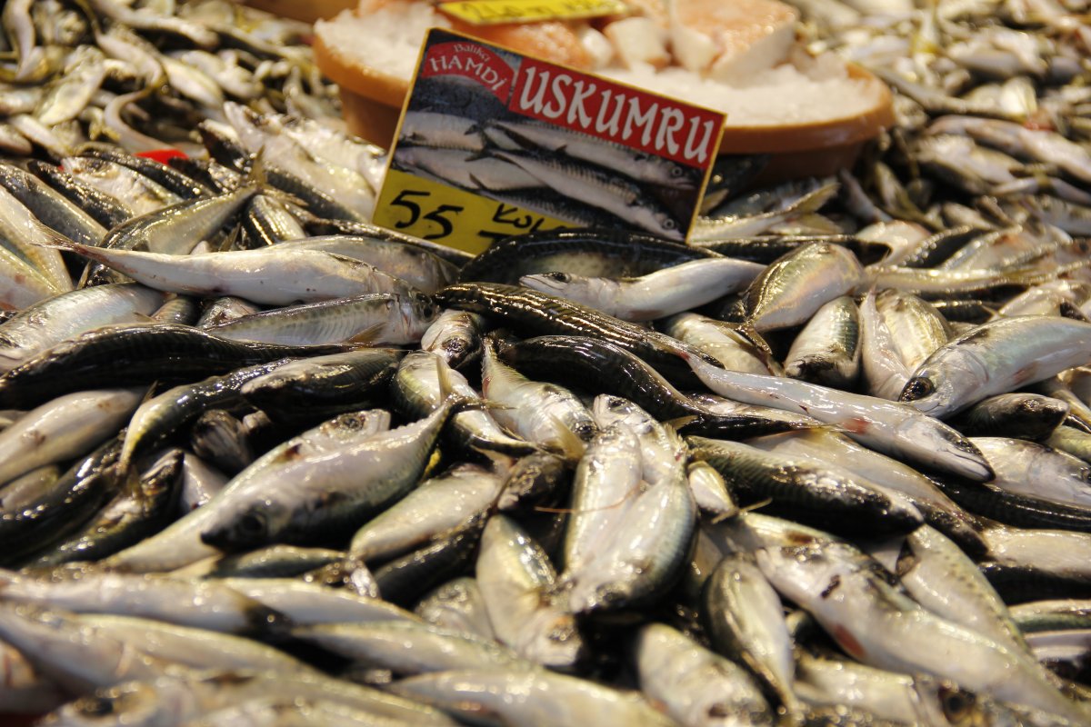 Marmara’da kar yağışı balık fiyatlarını da vurdu #5