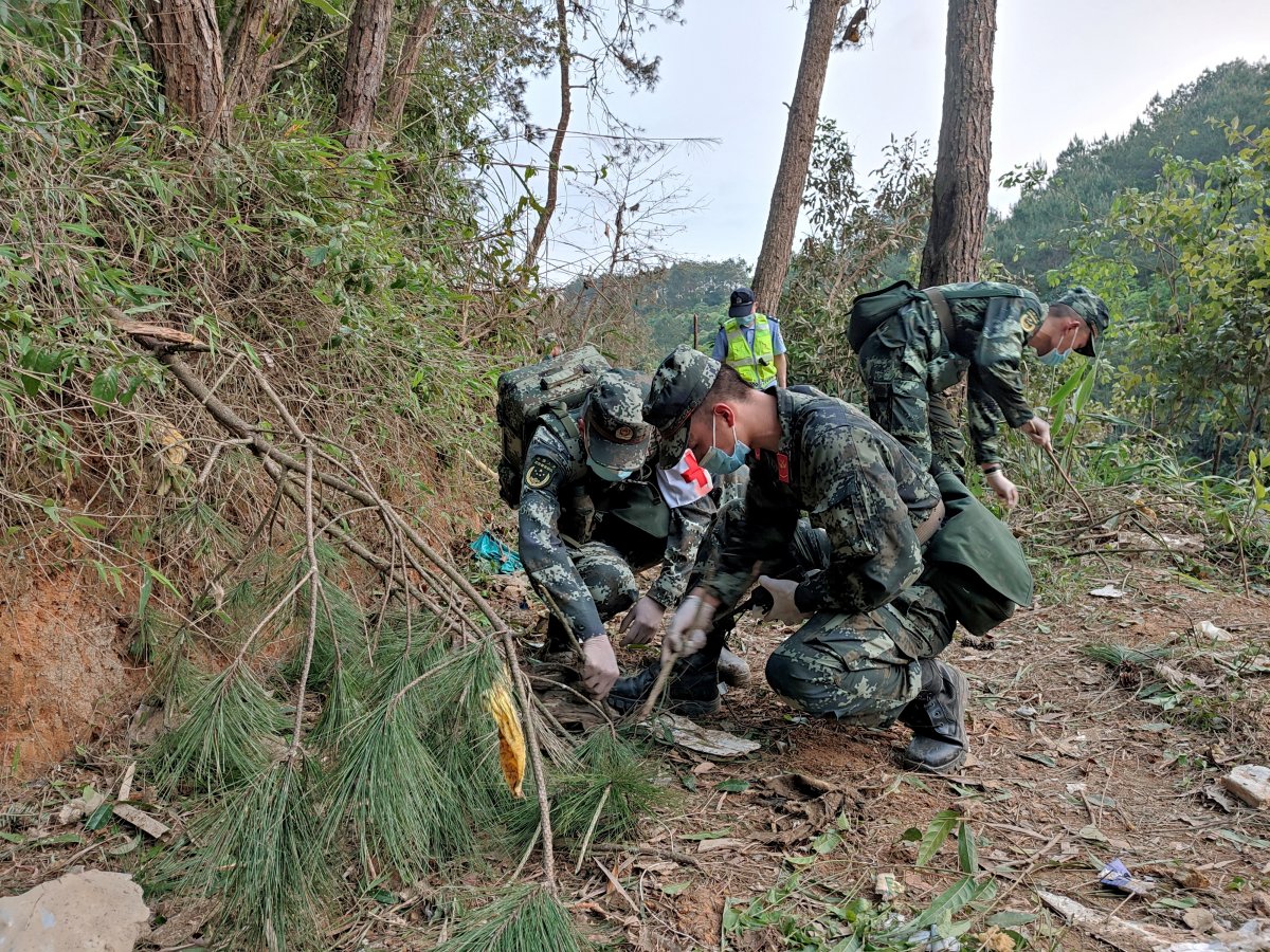 No survivors from the plane crash in China #1