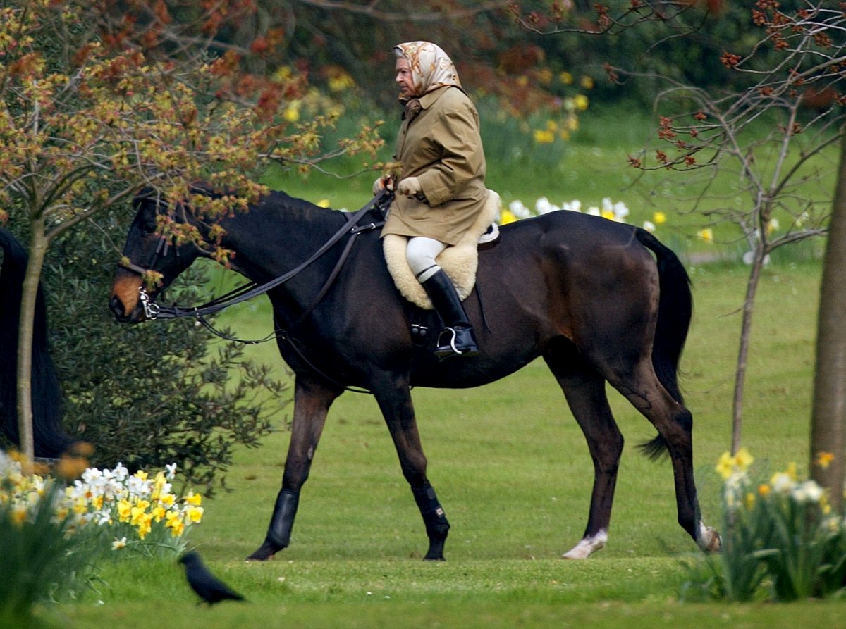 İngiltere Kraliçesi Elizabeth in tekerlekli sandalye kullandığı iddia edildi #2