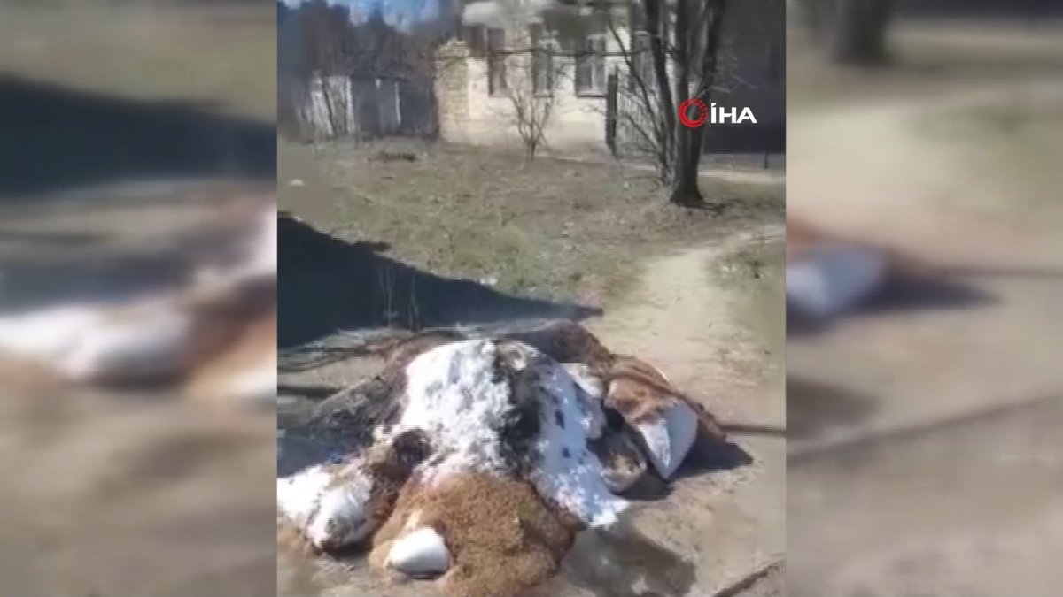 Ukrainians set fire to Russian aid #2