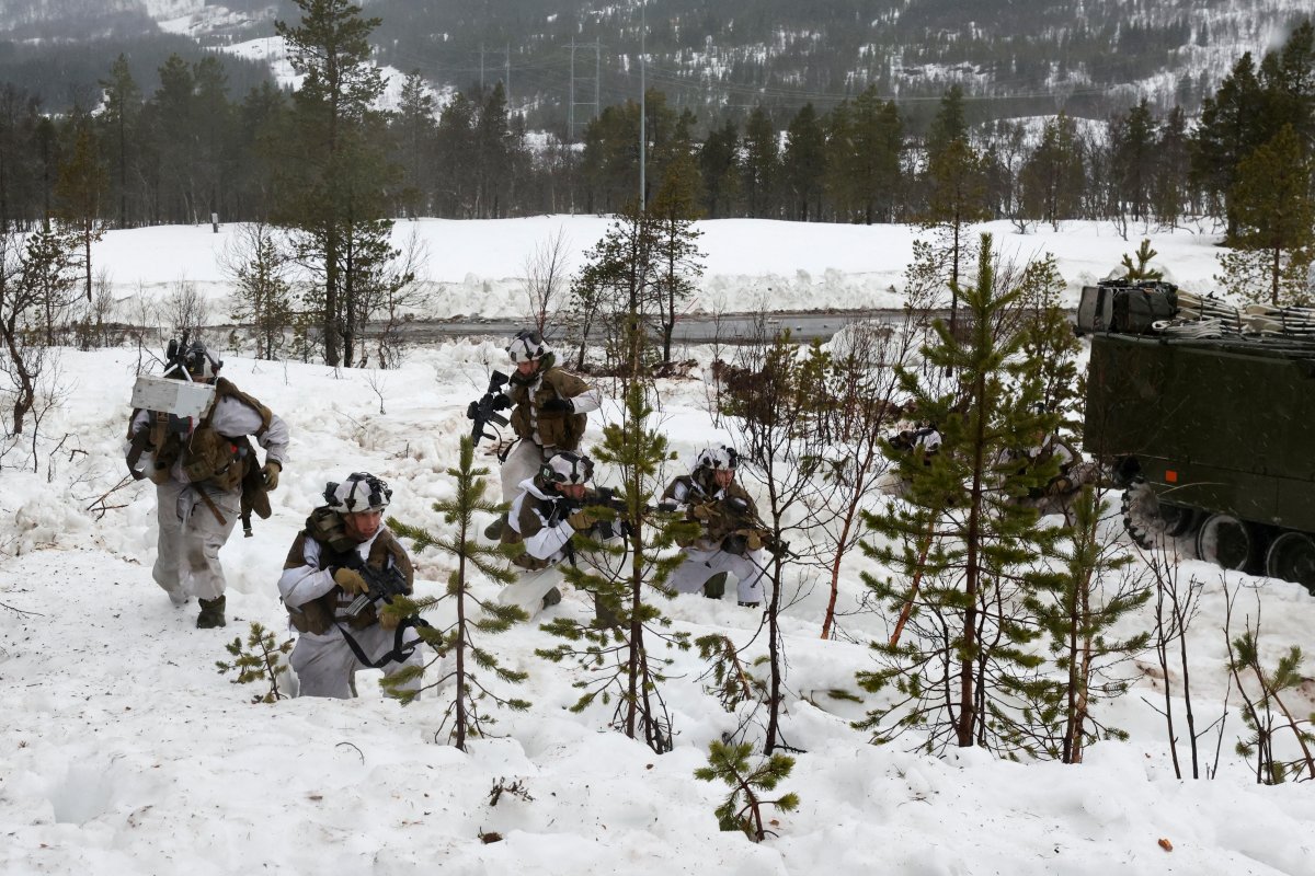 NATO holds exercises in Norway #14