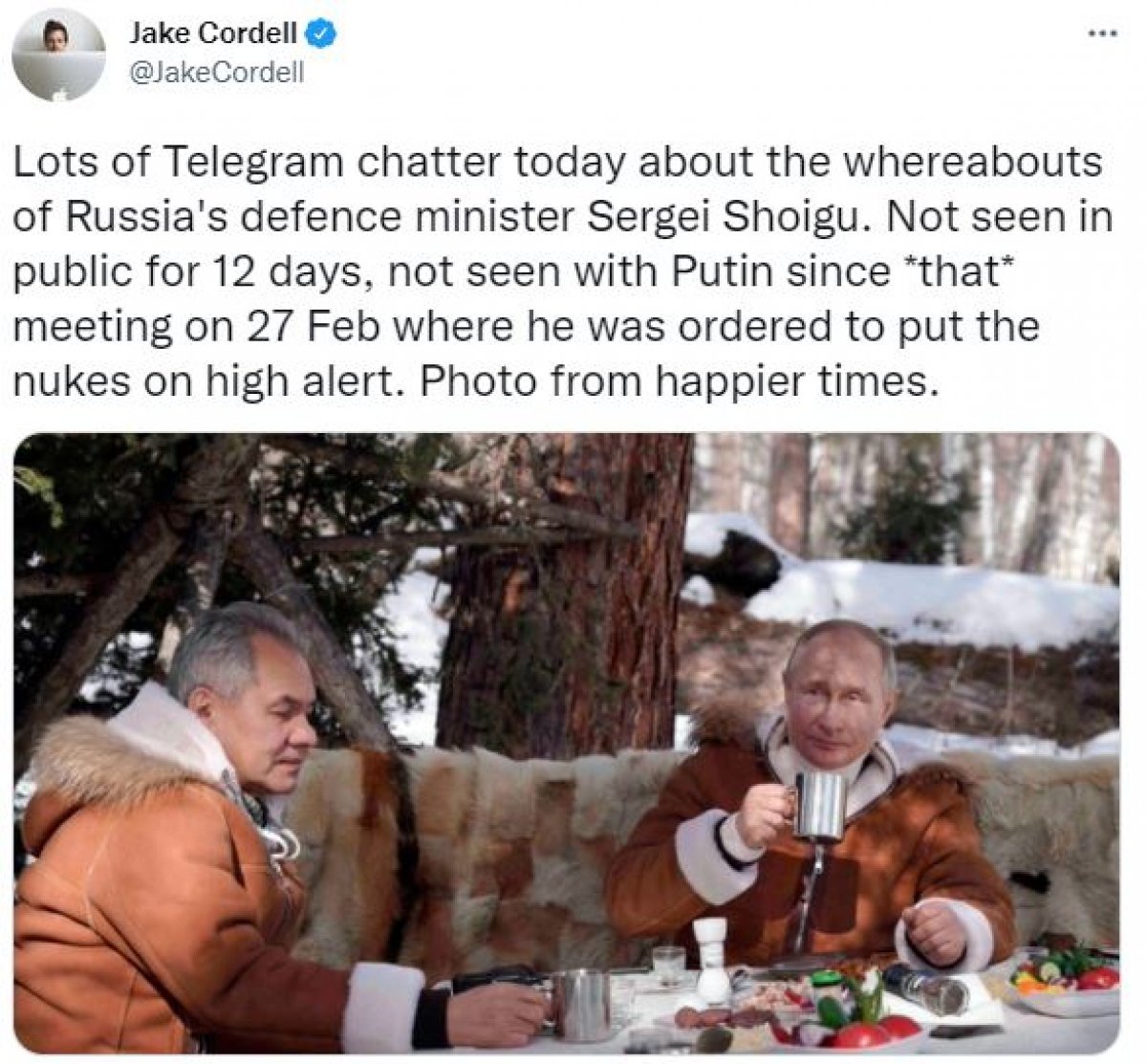Russian Defense Minister Shoigu fell silent #1