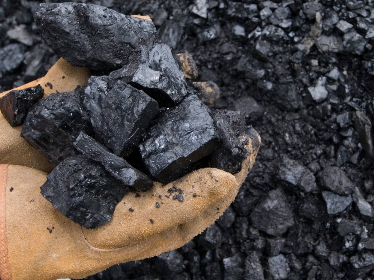 Steam coal is used for фото 79