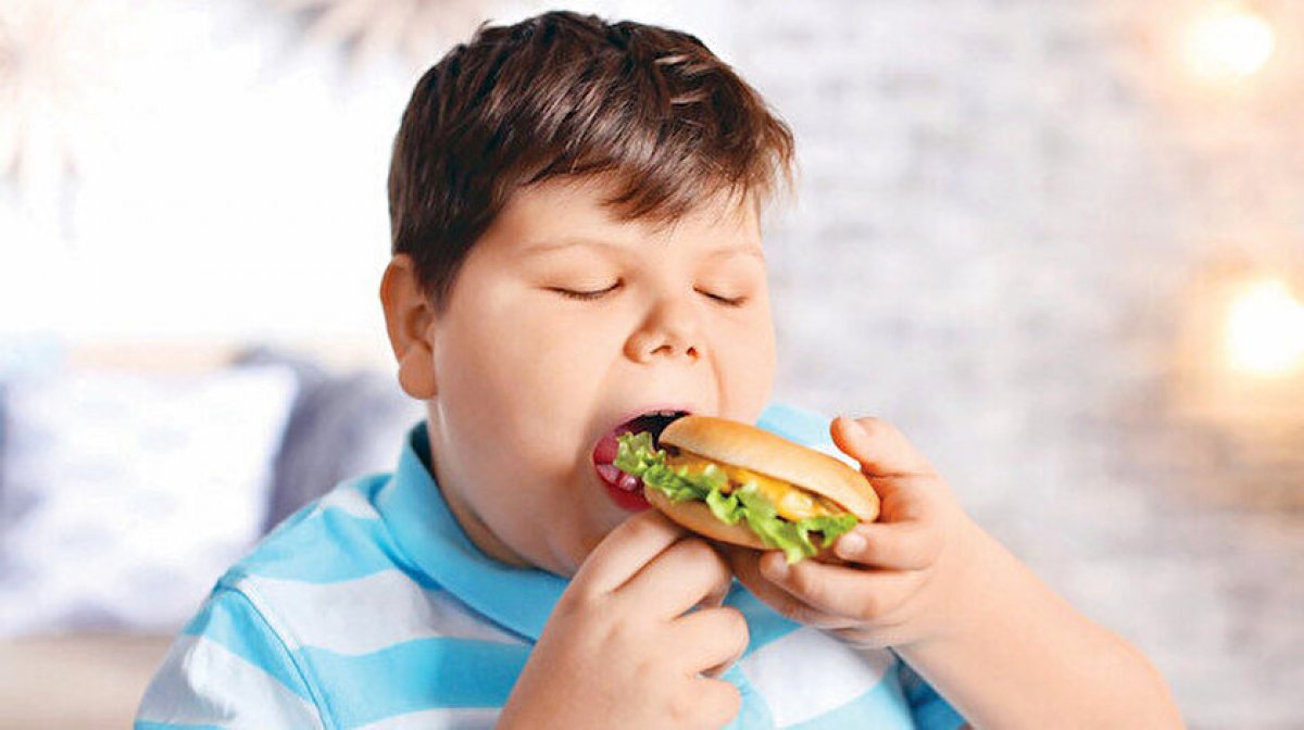 Hem obeziteyi hem erken ergenliği getiren katkılı gıdaların tüketimine dikkat #2