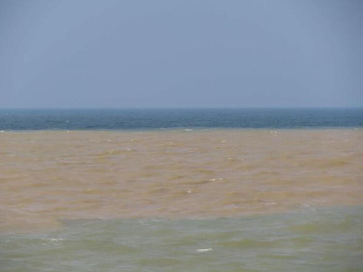 Şile de denizin rengi kahverengiye döndü #1