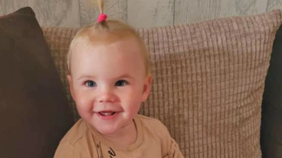 Child dies in UK dog attack Kimdeyir