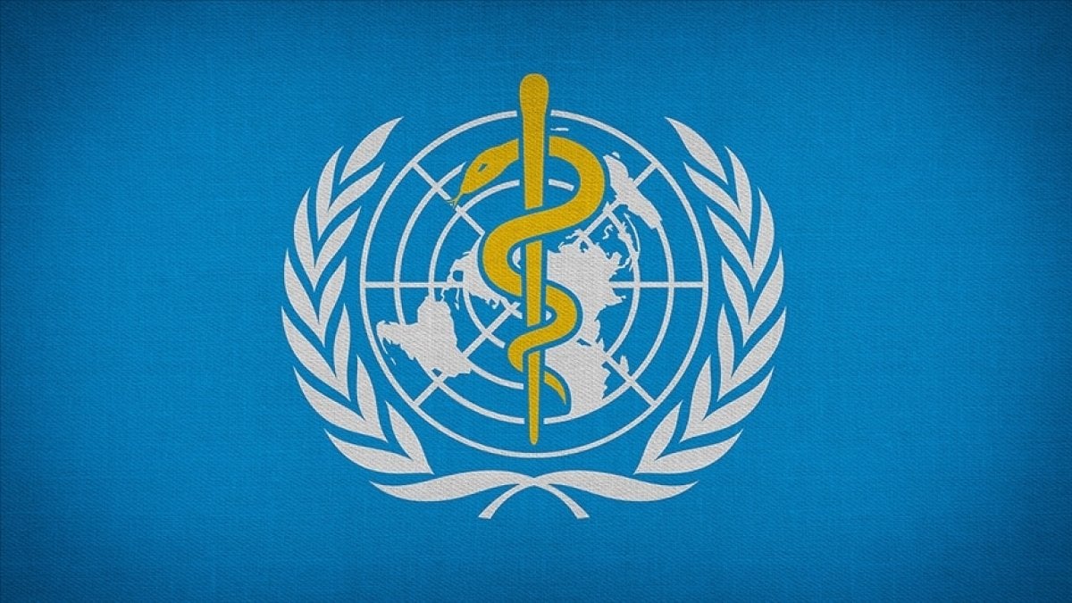 WHO Director-General Ghebreyesus: The coronavirus epidemic may end this year #2