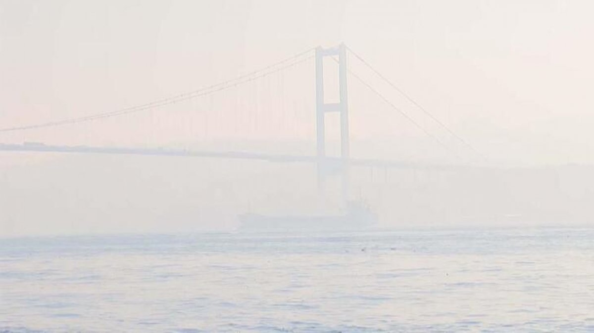 Türkiye’de hava kirliliği, trafik kazalarından daha fazla can aldı #7