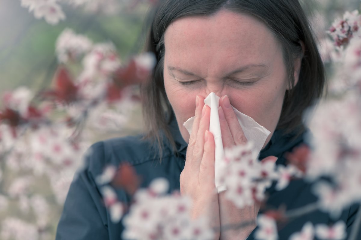Mevsimi geldi: Polen alerjisi nedir, ne yapmalı #2