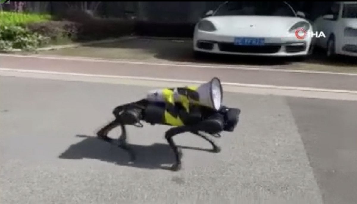 Robot dog started to roam the streets of China #2
