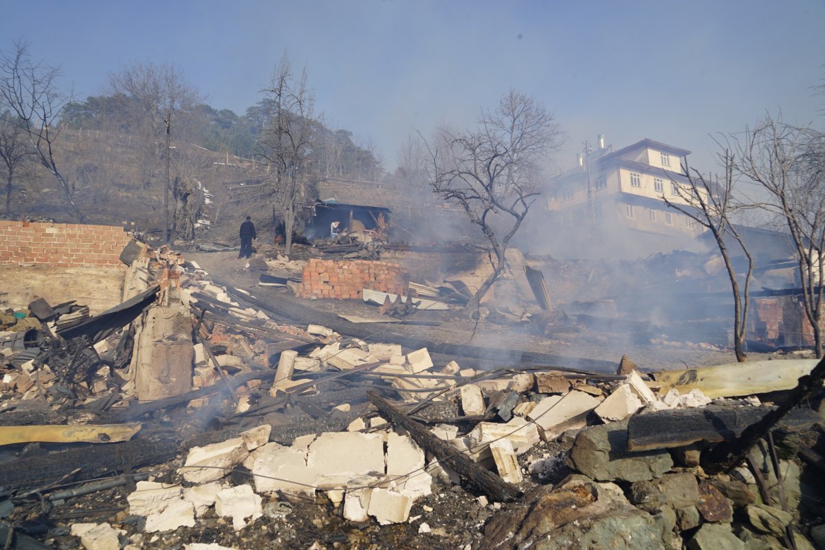 Kastamonu’da bir köy, alevlere teslim oldu #3