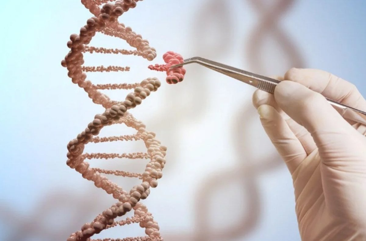 Bilim insanları ilk kez insan genomunu sıraladı #2