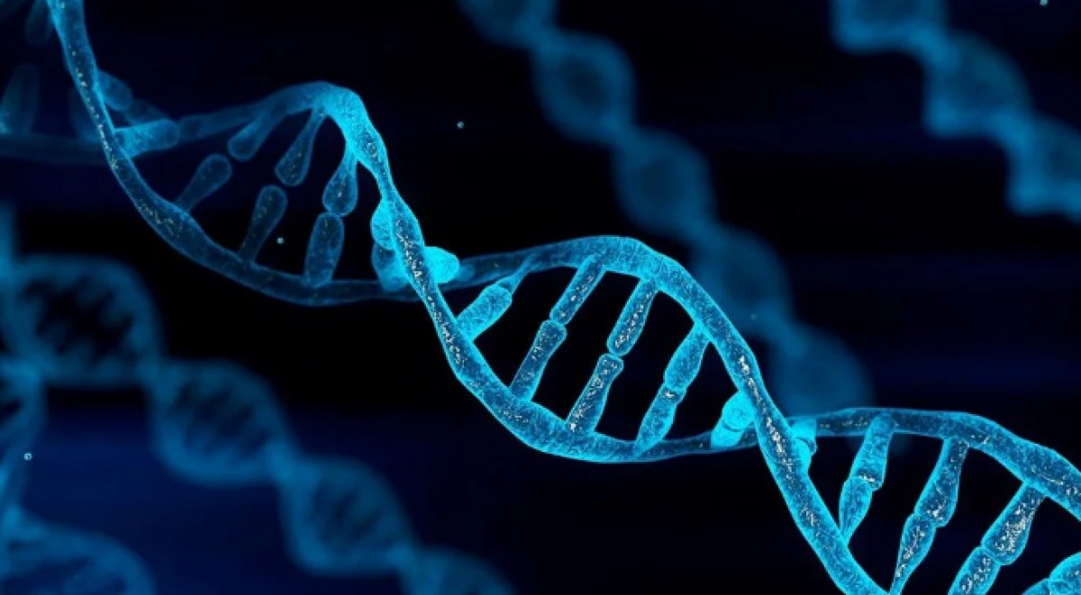 Scientists sequence the human genome for the first time #1