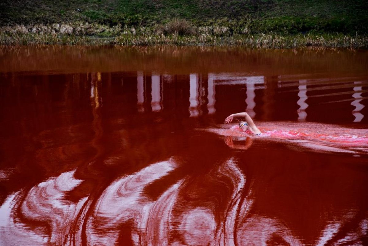 Ruta Meilutyte swam in the pond she painted red to protest Russia #3