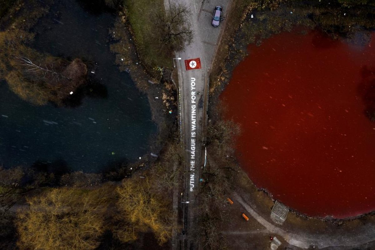 Ruta Meilutyte swam in the pond she painted red to protest Russia #4