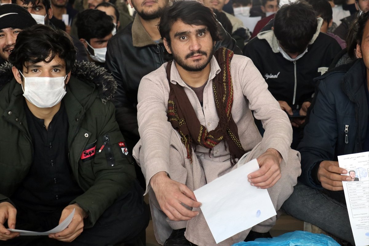 227 Afghan immigrants sent to their countries #7