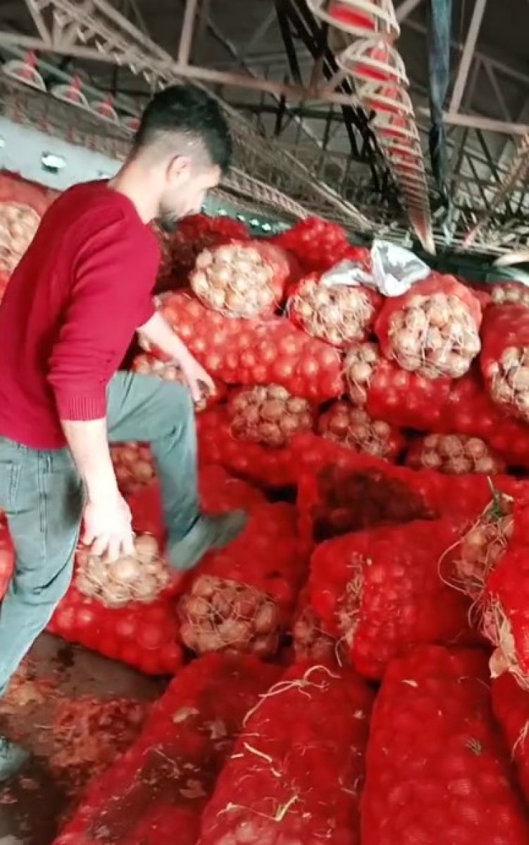 Ankara da satılamayan soğanlar depolarda kaldı #3