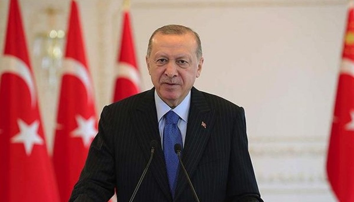 Cumhurbaşkanı Erdoğan, Avusturya Başbakanı ile görüştü #1