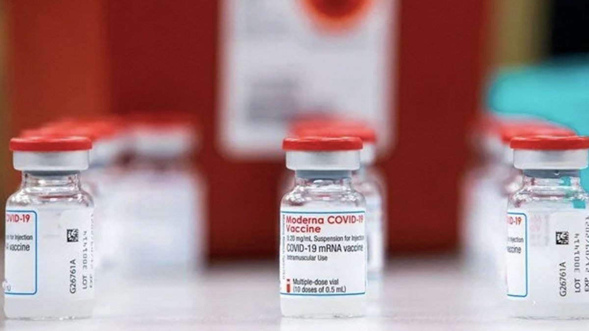 İspanya’da koronavirüs aşı şişesinin içinden sivrisinek çıktı #1