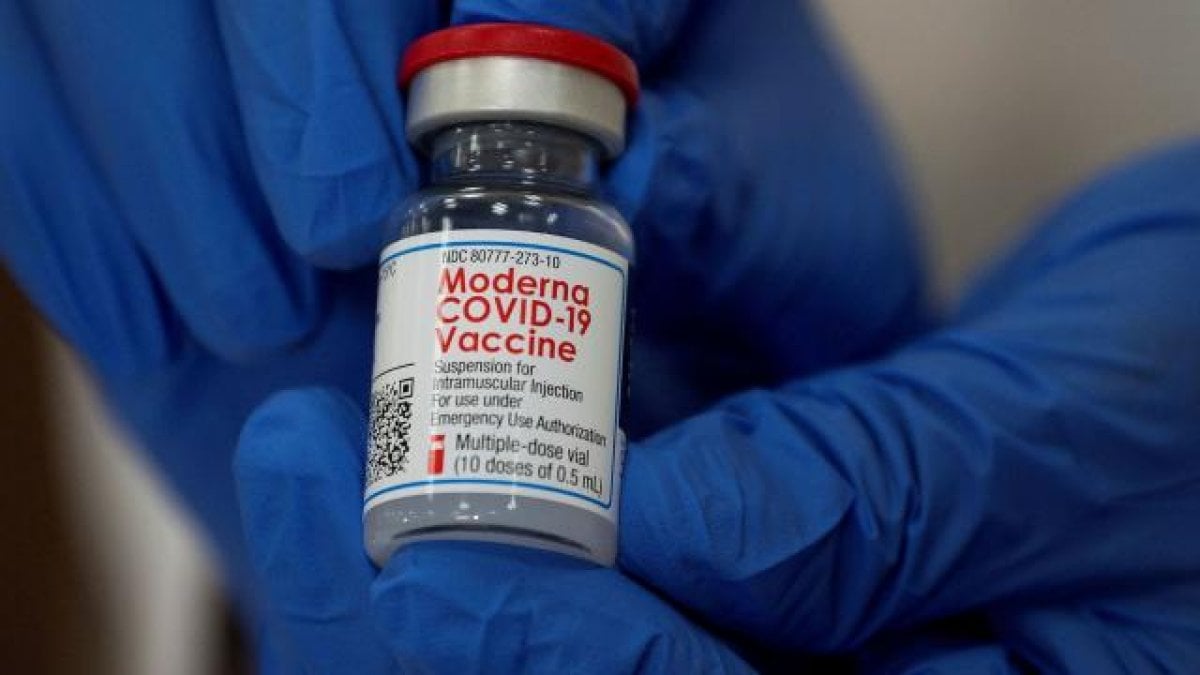 İspanya’da koronavirüs aşı şişesinin içinden sivrisinek çıktı #2