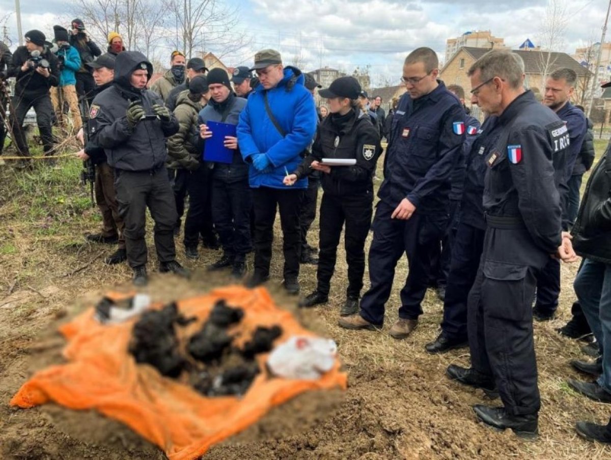 Special team sent by France to investigate war crimes #4 in Ukraine