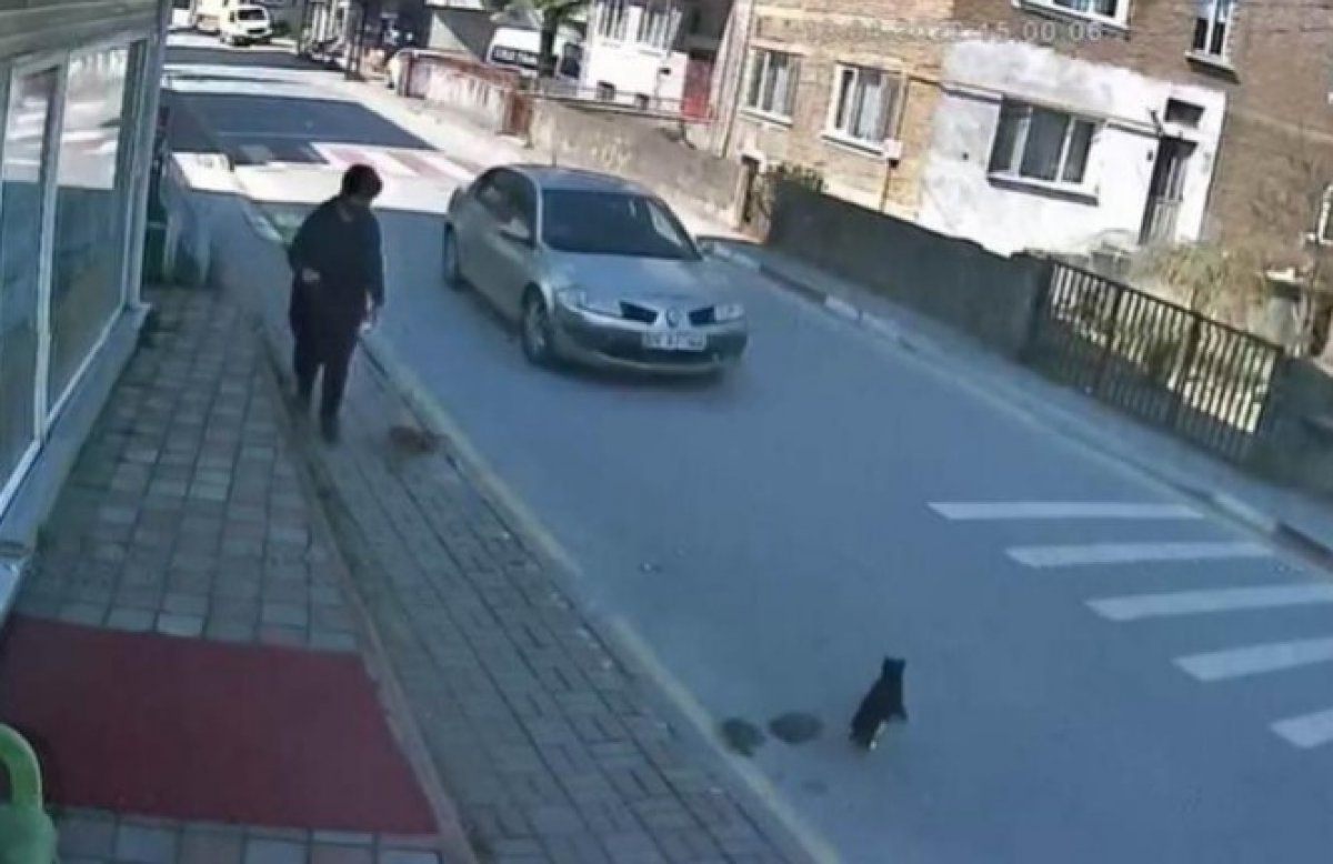 Bartın da kediye çarpıp kaçan sürücü kameralardan tespit edildi #3