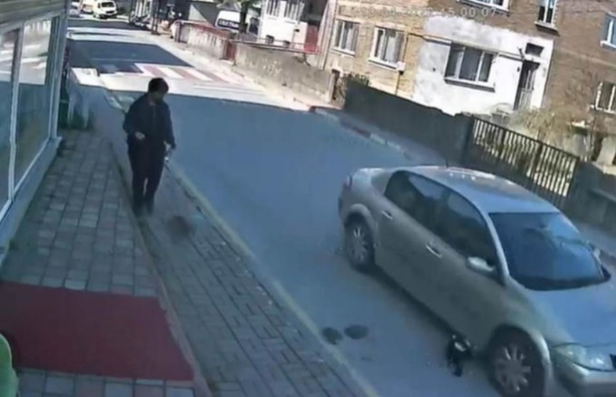 Bartın da kediye çarpıp kaçan sürücü kameralardan tespit edildi #2