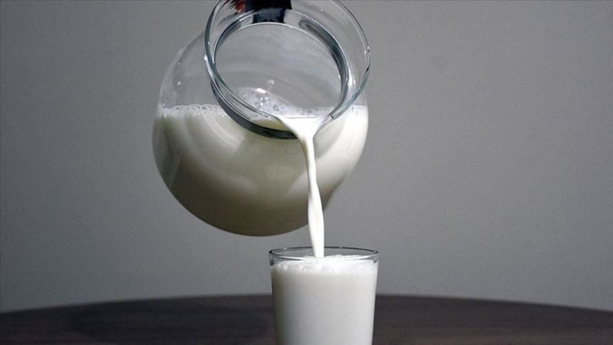 Şubatta toplanan süt miktarı arttı #1