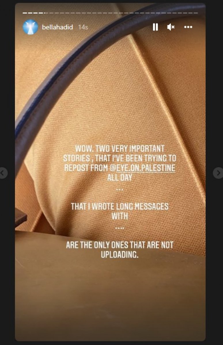 Bella Hadid's Palestinian posts restricted #6