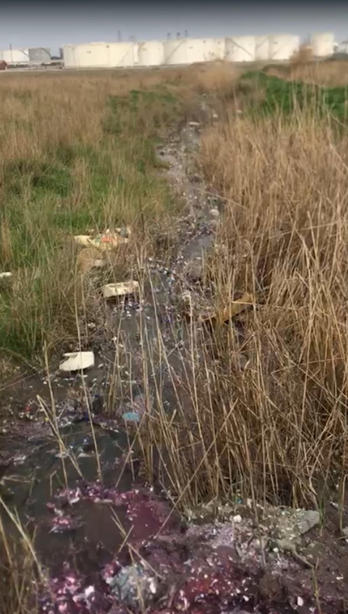 Tekirdağ’da, Kamara Deresi’ni kirleten tesise 500 bin TL ceza verildi #6