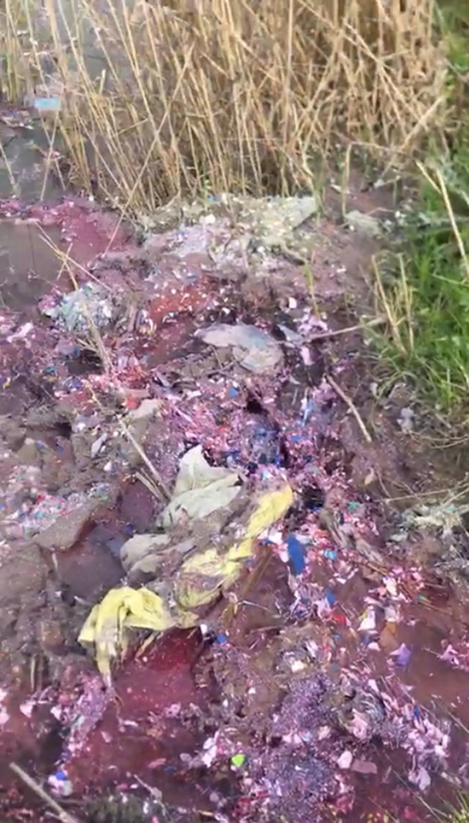 Tekirdağ’da, Kamara Deresi’ni kirleten tesise 500 bin TL ceza verildi #4