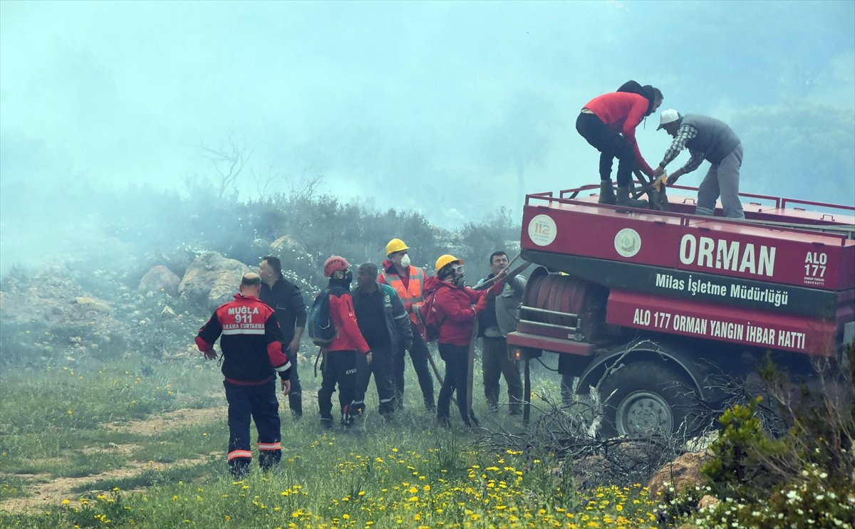 Bodrum da ormanlık alanda yangın çıktı #3